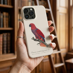 Vosmaer Eclectus Parrot, Eclectus Roratus Vosmaeri iPhone 13 Pro Max Case
