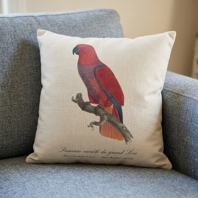 Vosmaer Eclectus Parrot, Eclectus Roratus Vosmaeri Cushion (Vosmaer Eclectus Parrot, Eclectus Roratus Vosmaeri. Throw Pillow )