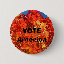 VOTE America buttons Elections Political custom
