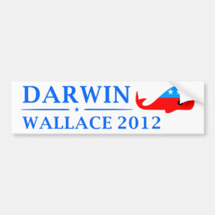 Vote Darwin & Wallace in 2012 Bumper Sticker