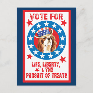Vote for Cavalier Postcard