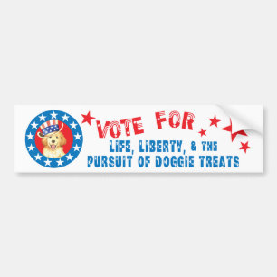 Vote for Golden Bumper Sticker