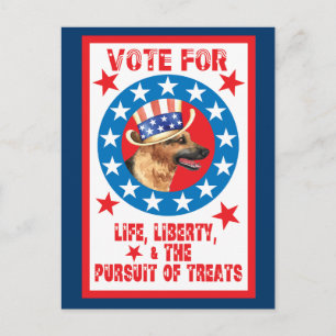 Vote for GSD Postcard