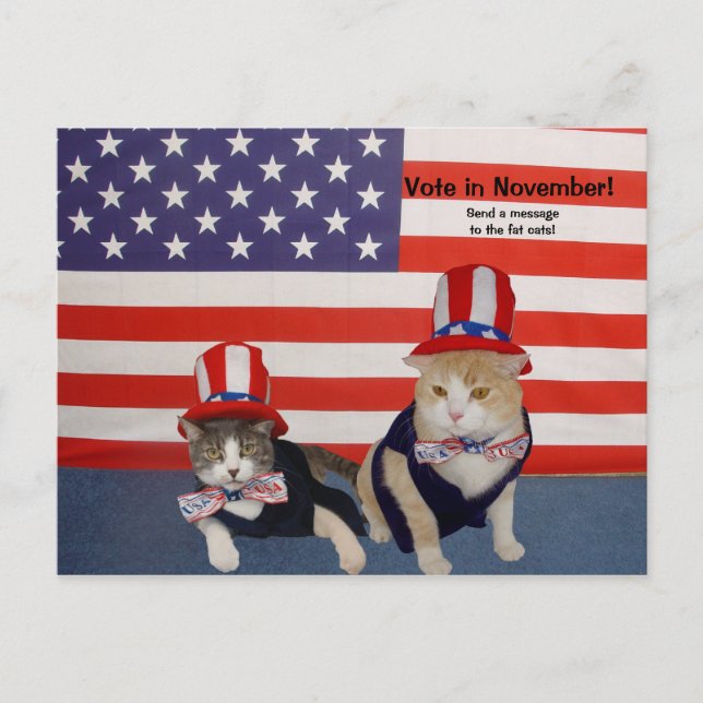 Vote in November! Postcard (Front)