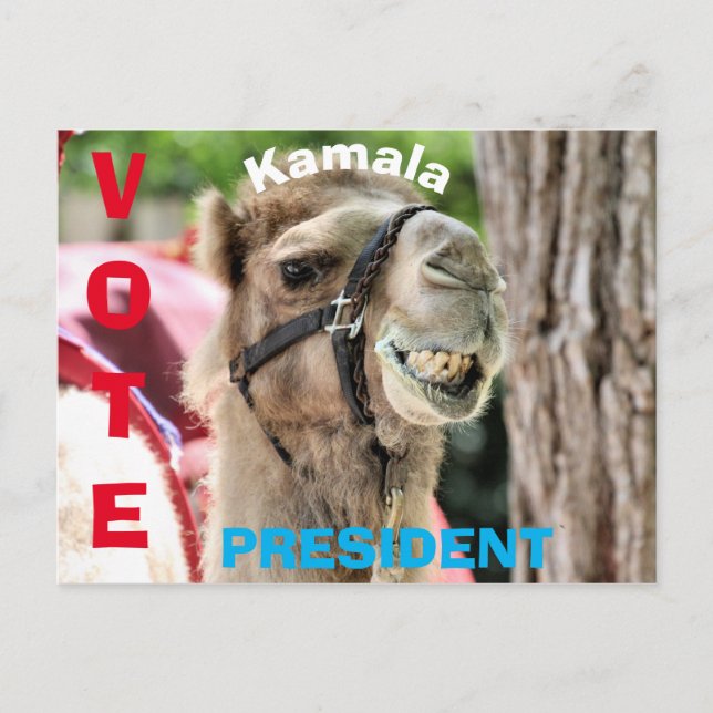Vote Postcard (Front)