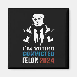 Voting Convicted Felon 2024  Magnet