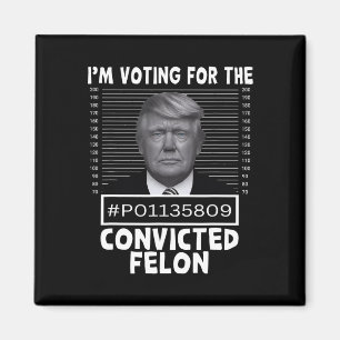 Voting For The Convicted Felon Trump Mugshot Pro T Magnet