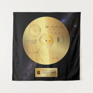 Voyager 1 Golden Record - Tapestry