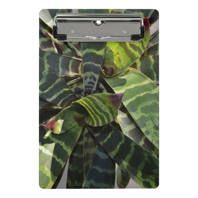 Vriesea Splendens Bromeliad Plant Striped Leaves Mini Clipboard (Front)