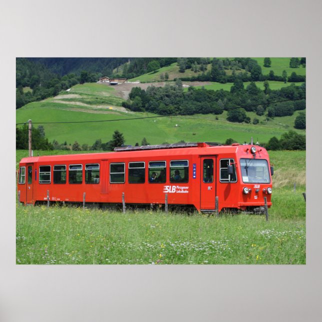 VTs 13 5090.003 Poster (Front)