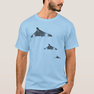 Vulcan Tee Shirt