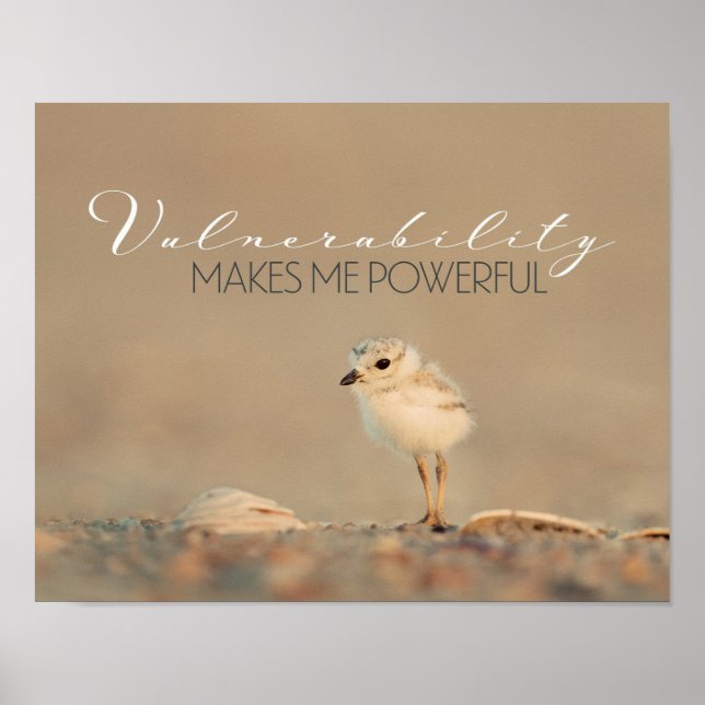 Vulnerability Poster (Front)