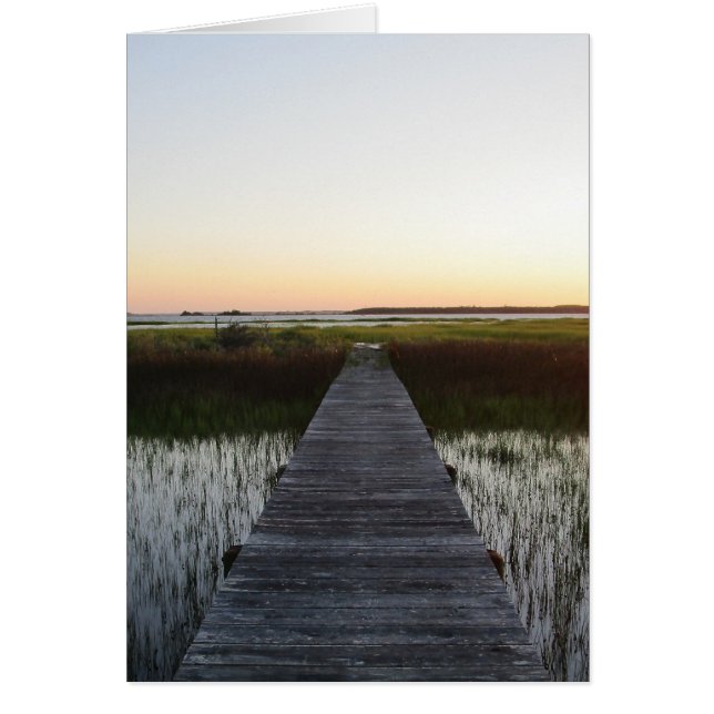 Vulnerable Path II (Front)