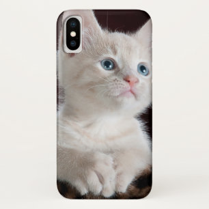 Vulnerable White Kitten iPhone X Case