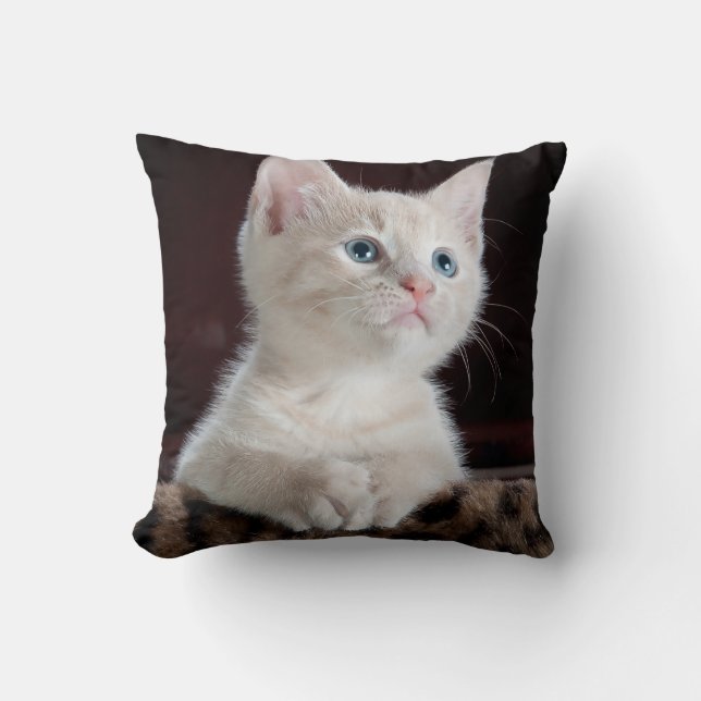 Vulnerable White Kitten Cushion (Front)