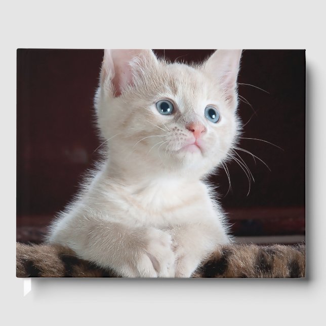 Vulnerable White Kitten Guest Book (Front)