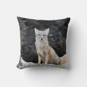 Vulpes corsac cushion