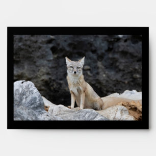 Vulpes corsac envelope