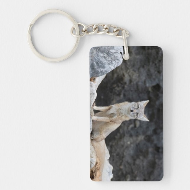 Vulpes corsac key ring (Front)