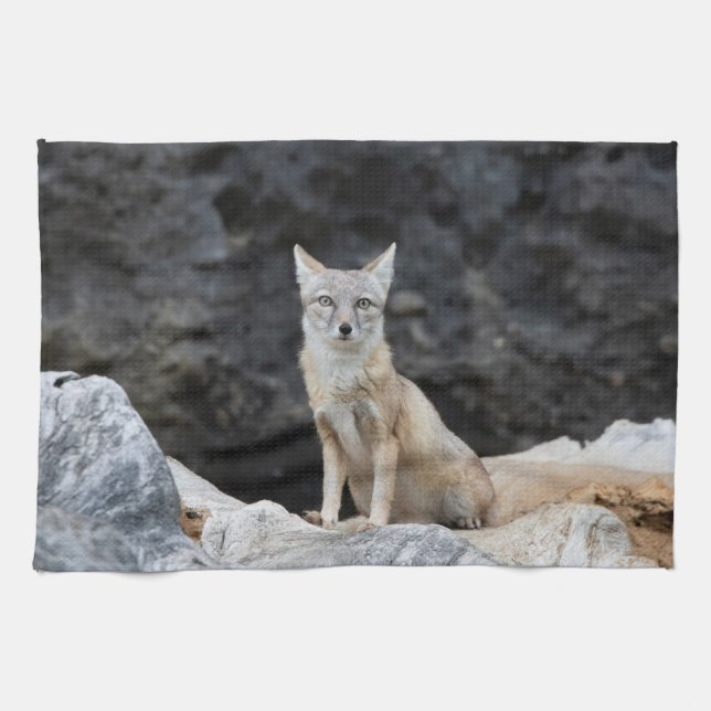 Vulpes corsac tea towel (Horizontal)