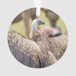 Vulture and Hyena Ornament