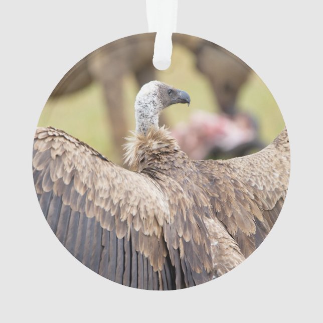 Vulture and Hyena Ornament (Back)