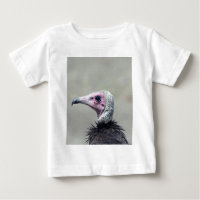 Vulture