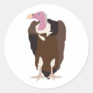 Vulture Bird Illustration Classic Round Sticker