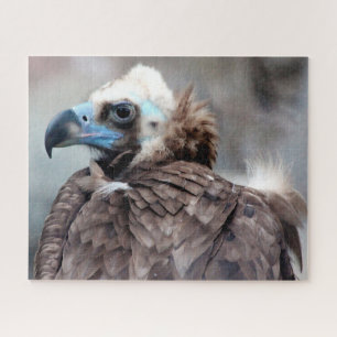 Vulture  Bird of Prey. Jigsaw Puzzle