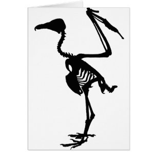 Vulture Bones