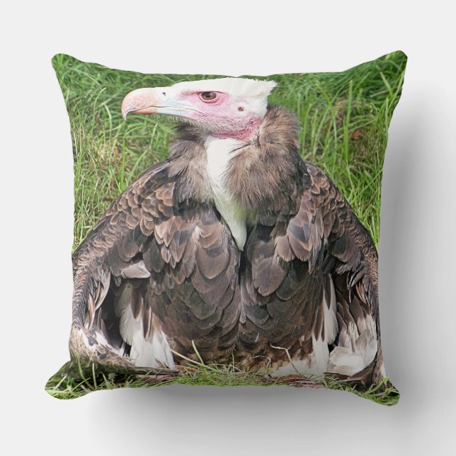 VULTURE CUSHION (Front)