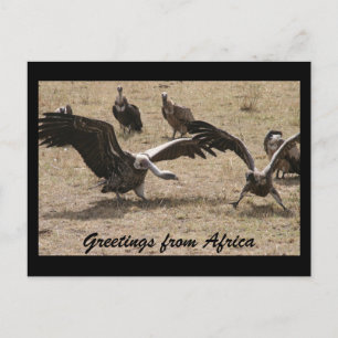 vulture dance postcard