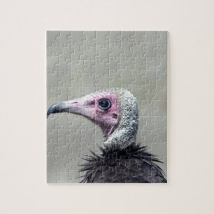 Vulture Jigsaw Puzzle