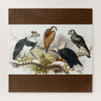 vulture jigsaw puzzle