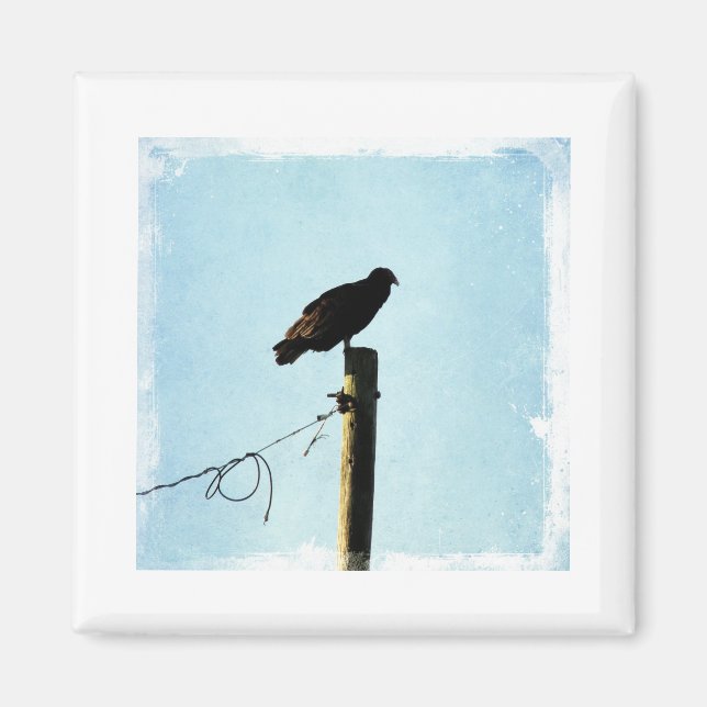 Vulture Magnet (Front)