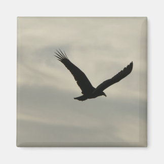 Vulture. Magnet
