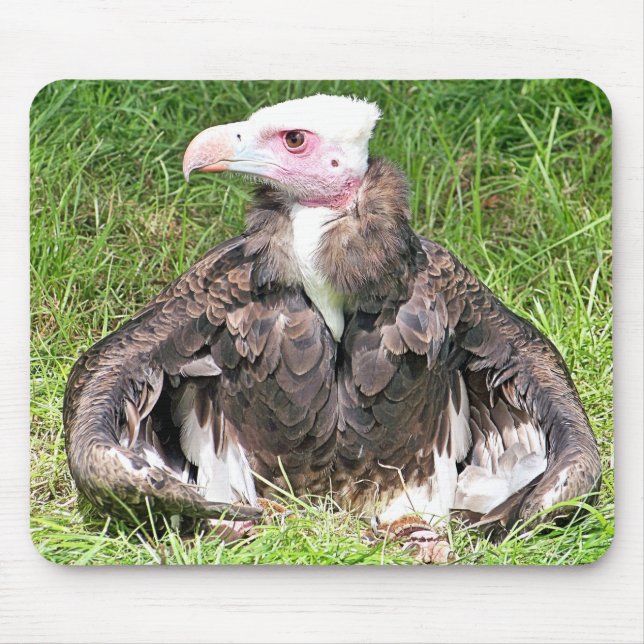 VULTURE MOUSE PAD (Front)