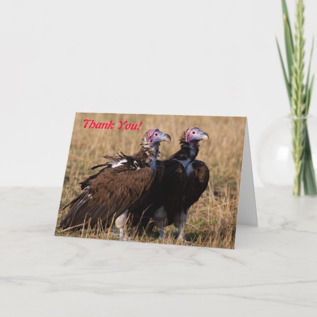 Vulture Pair Thank You Card (Front)