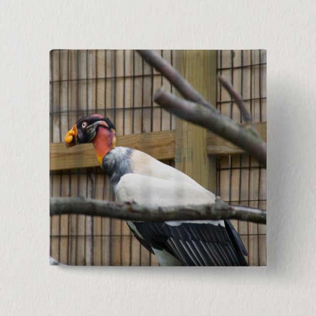 Vulture Photography 15 Cm Square Badge (Front)