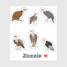 Vulture Stickers