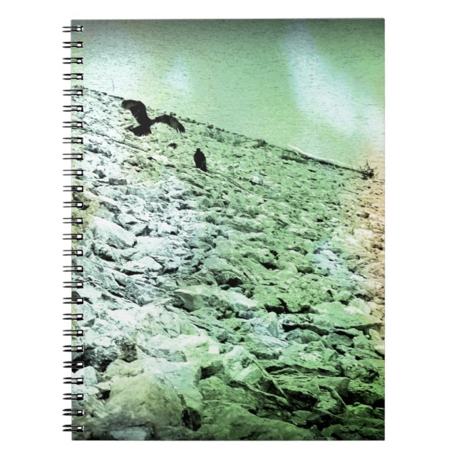 Vultures at the Lake Notebook (Front)