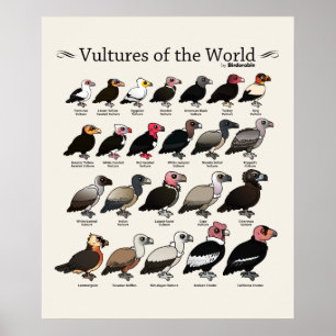 Vultures of the World by Birdorable Poster