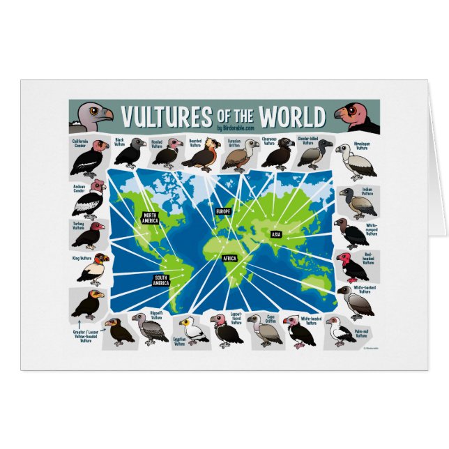 Vultures of the World Map (Front Horizontal)