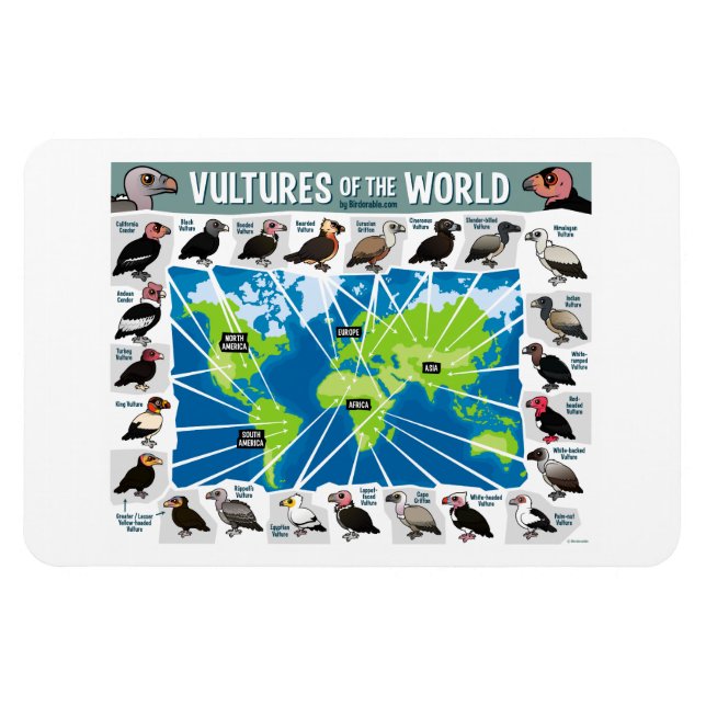 Vultures of the World Map Magnet (Horizontal)