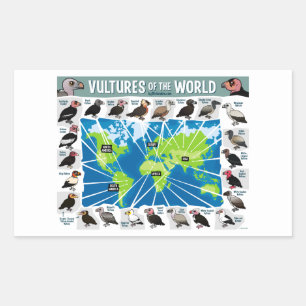 Vultures of the World Map Rectangular Sticker