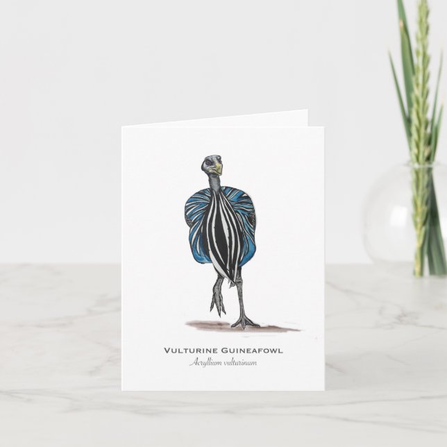 Vulturine Guineafowl Folded Note Card (Front)