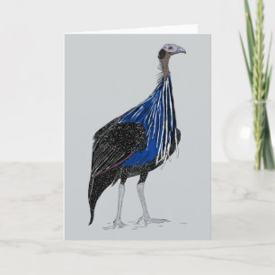 Vulturine Guineafowl Thank You Card