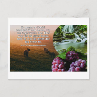 Vykort - Psalm 23: 1-2 Postcard