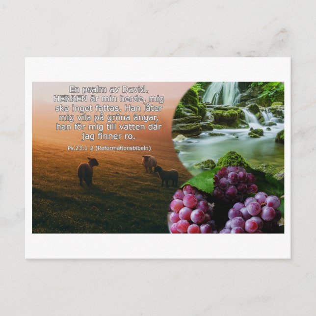 Vykort - Psalm 23: 1-2 Postcard (Front)