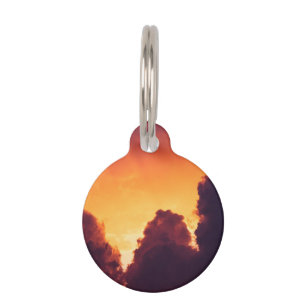 w in weather pet tag